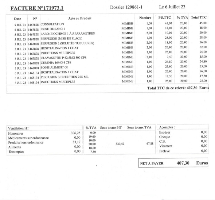 Image justificative de la cagnotte