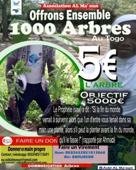 PLANTONS 1000 ARBRES POUR DES ORPHELINS AU TOGO