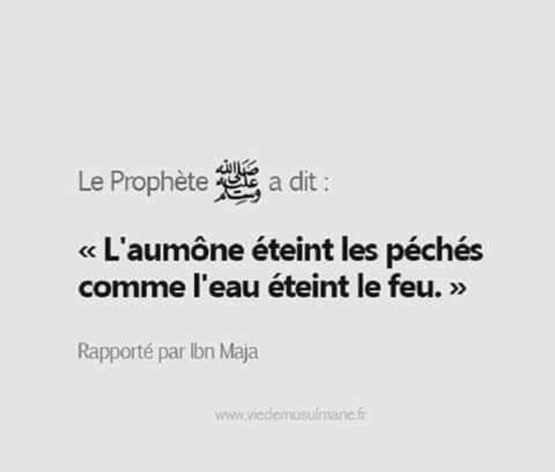 Pour LP et nelmo