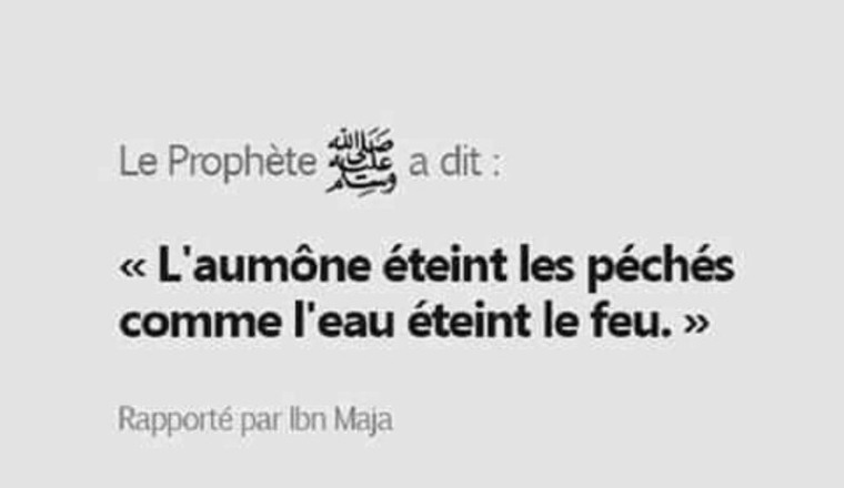 Pour LP et nelmo