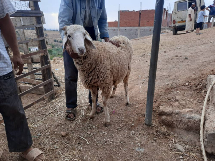 Image justificative de la cagnotte