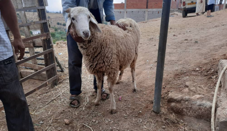 Image justificative de la cagnotte