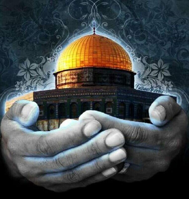 Aïd Adha 2022 pour les orphelins de Palestine