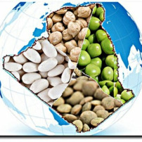 Panier alimentaire el-Djazaïr