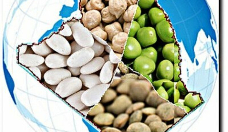 Panier alimentaire el-Djazaïr