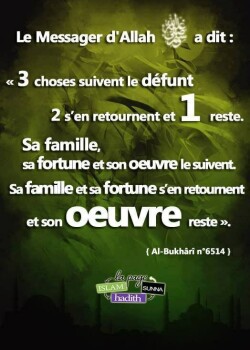 Image justificative de la cagnotte