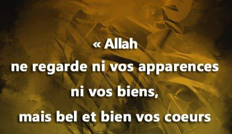 Image justificative de la cagnotte