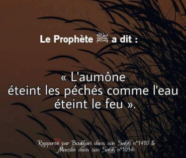Image justificative de la cagnotte