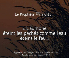 Image justificative de la cagnotte