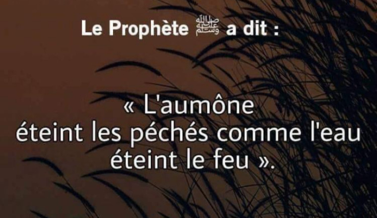 Image justificative de la cagnotte