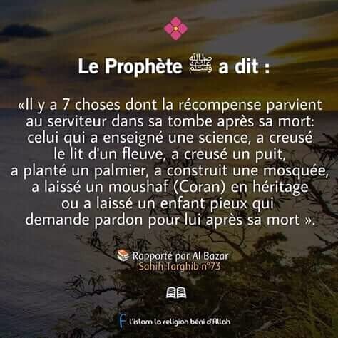 Image justificative de la cagnotte