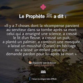 Image justificative de la cagnotte