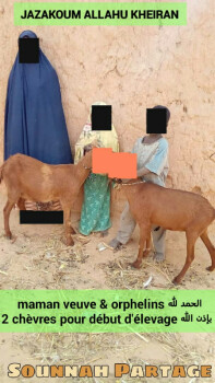 Image justificative de la cagnotte