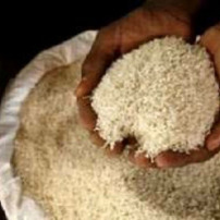 Distribution de Riz