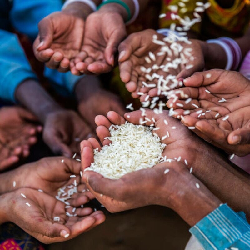 Riz Ramadan 1444/2023