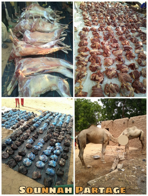 Image justificative de la cagnotte