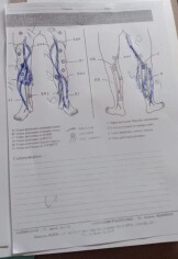 Image justificative de la cagnotte