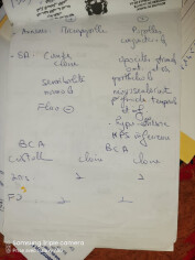 Image justificative de la cagnotte