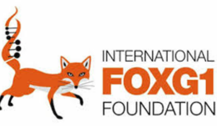 Une lueur d'espoir pour FoxG1
