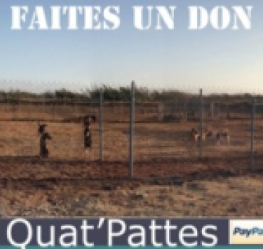 Un VRAI refuge bien sécurisé pour nos Quat'pattes