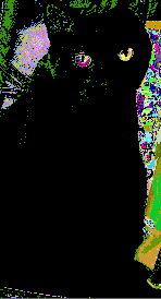 Image justificative de la cagnotte