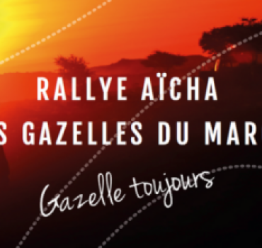Aidez les SuperGazelles à passer la Méditerranée!