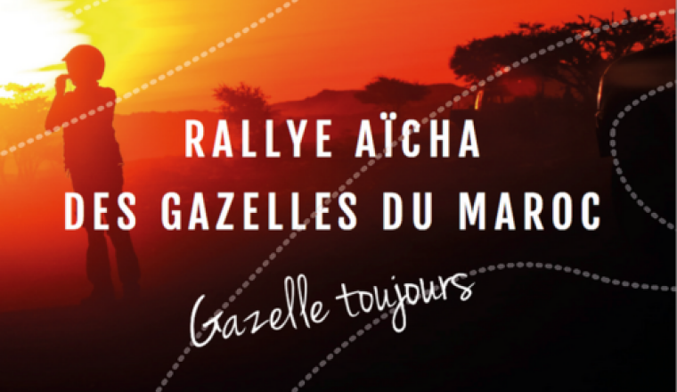Aidez les SuperGazelles à passer la Méditerranée!