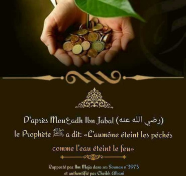 Said Tlemcen