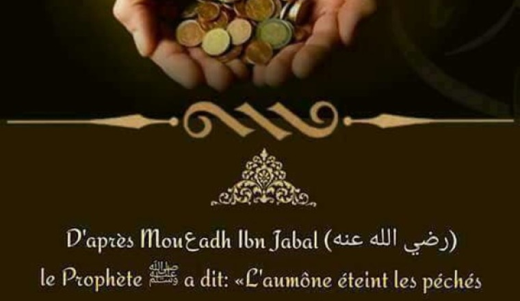Said Tlemcen