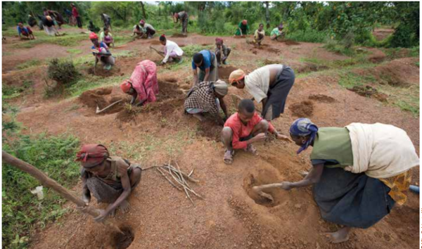 Permaculture Communautaire Bénin