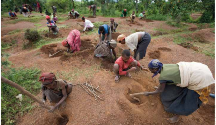 Permaculture Communautaire Bénin