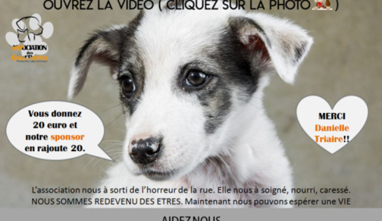 Soins Urgents des Quat'pattes