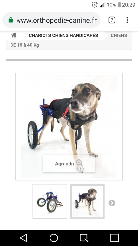 Image justificative de la cagnotte