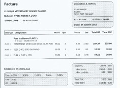 Image justificative de la cagnotte