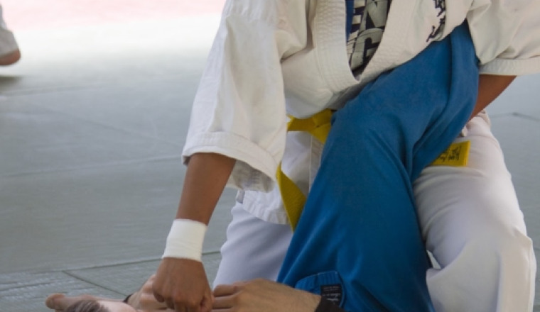 Championnat du monde de kudo au Japon