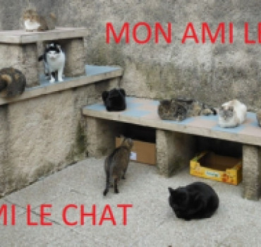 POUR QUE LE REFUGE NE FERME PAS