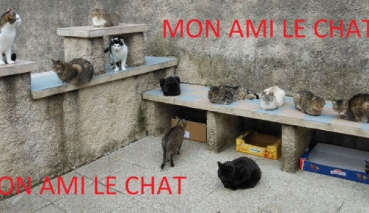 POUR QUE LE REFUGE NE FERME PAS