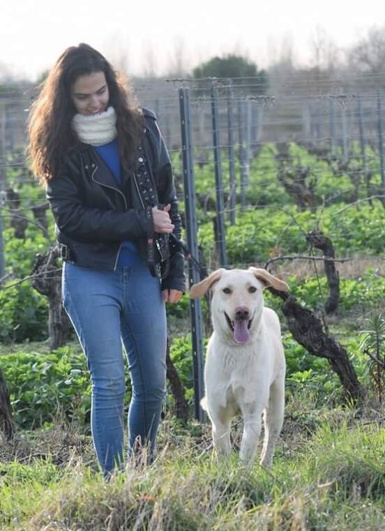 Image justificative de la cagnotte