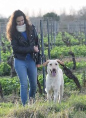 Image justificative de la cagnotte