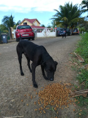 Image justificative de la cagnotte