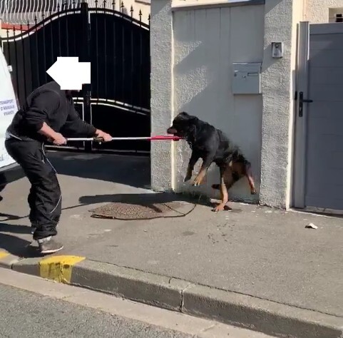 Image justificative de la cagnotte
