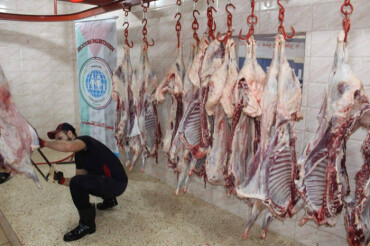 Image justificative de la cagnotte