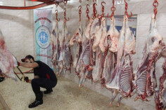 Image justificative de la cagnotte