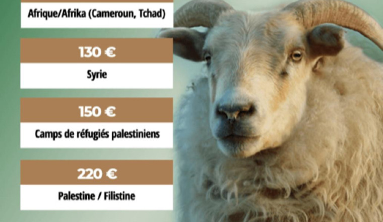 Image justificative de la cagnotte