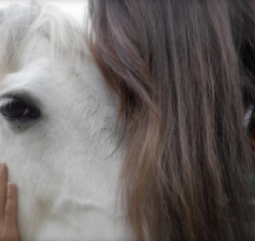 Co&xister, un sanctuaire pour animaux !