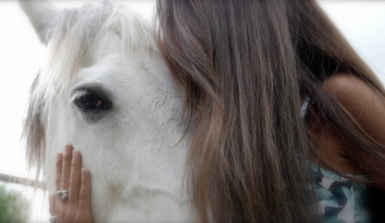 Co&xister, un sanctuaire pour animaux !