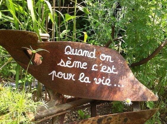 Image justificative de la cagnotte