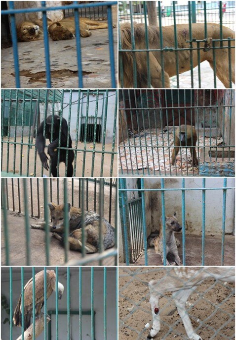 Image justificative de la cagnotte