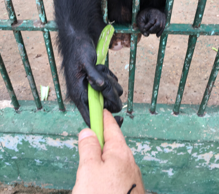 Image justificative de la cagnotte