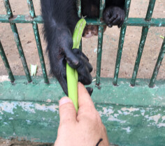 Image justificative de la cagnotte
